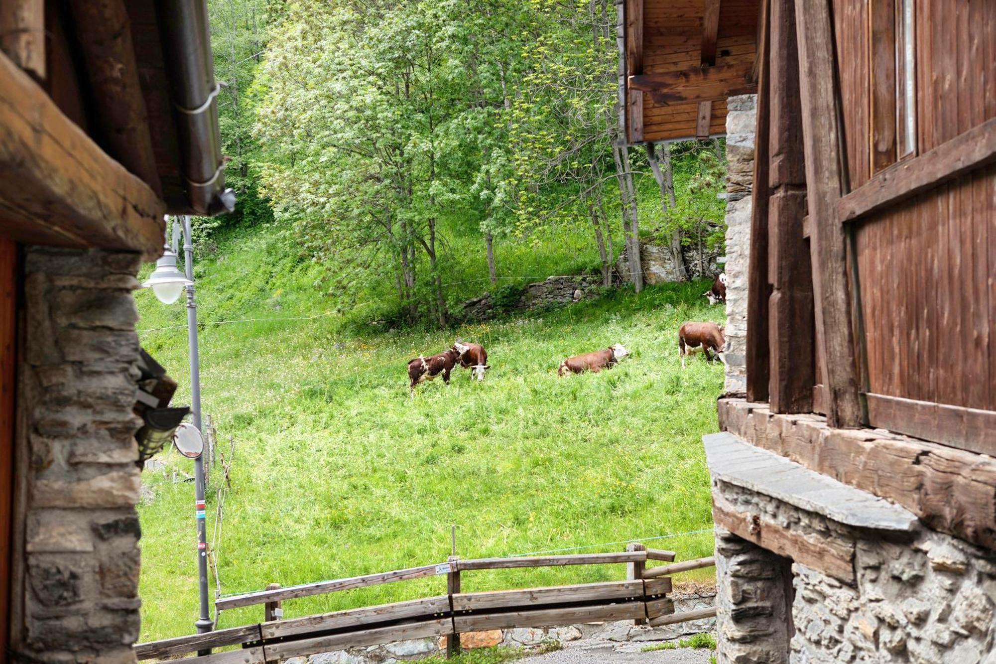 Aux Pieds Du Malatra' 1 Apartment Saint-Rhemy-En-Bosses Luaran gambar